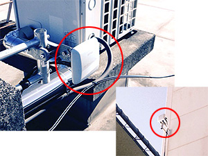 Wireless Connections Between Buildings