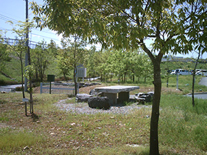 Green space on plant grounds