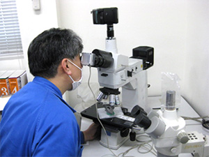 Metallurgical microscope